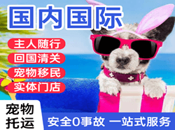 二连浩特航空空运国际宠物托运 【国